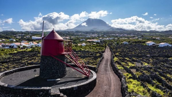 Madalena-Criacao-Velha-Pico